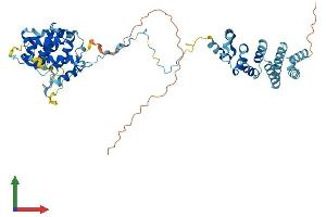 Protein Structure (PS) image for CCR4-NOT Transcription Complex, Subunit 11 (CNOT11) (AA 1-510) protein (His tag) (ABIN7546625)