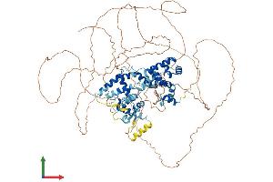 AlphaFold protein structure predicition of Human Recombinant TTF1 Protein, UniprotID Q15361
