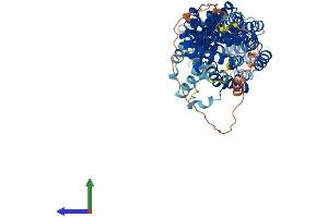 Protein Structure (PS) image for Cell Division Cycle 16 Homolog (S. Cerevisiae) (CDC16) (AA 1-620) protein (His tag) (ABIN7553158)