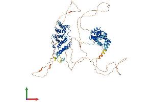 AlphaFold protein structure predicition of Mouse Recombinant Cwc22 Protein, UniprotID Q8C5N3