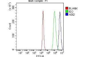 Flow Cytometry analysis of SH-SY5Y cells using anti-ABI2 antibody (ABIN7600125). (ABI2 抗体  (AA 151-400))