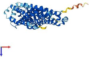 Transmembrane 6 Superfamily Member 2 (TM6SF2) (AA 1-377) protein (His tag)