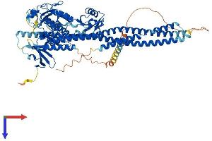 IKBKB Protein (AA 1-756) (His tag)