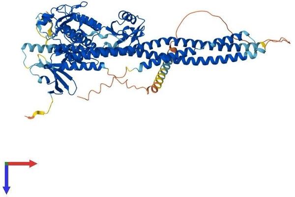 IKBKB Protein (AA 1-756) (His tag)