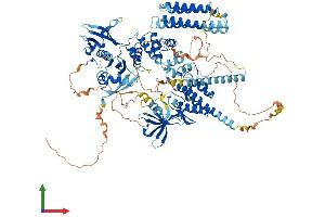 Protein Structure (PS) image for PTK2B Protein tyrosine Kinase 2 beta (PTK2B) (AA 1-1009) protein (His tag) (ABIN7553880)