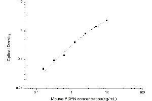 Podoplanin ELISA 试剂盒