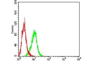 Flow cytometric analysis of A431 cells using KRT13 mouse mAb (green) and negative control (red). (Cytokeratin 13 抗体  (AA 104-458))
