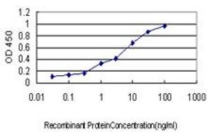 Detection limit for recombinant GST tagged FBXL18 is approximately 0. (FBXL18 抗体  (AA 1-110))