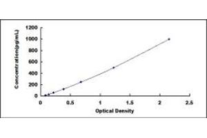 Typical standard curve (JAM3 ELISA 试剂盒)