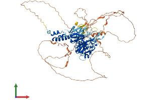 Protein Structure (PS) image for F-Box Protein 42 (FBXO42) (AA 1-717) protein (His tag) (ABIN7547533)