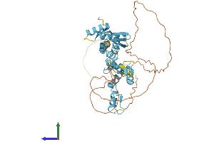 Protein Structure (PS) image for Zinc Finger and BTB Domain Containing 6 (ZBTB6) (AA 1-424) protein (His tag) (ABIN7545246)