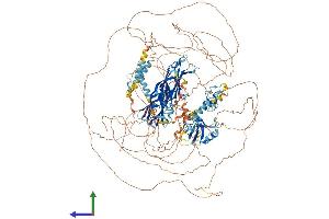 Protein Structure (PS) image for Regulating Synaptic Membrane Exocytosis 2 (RIMS2) (AA 1-1411) protein (His tag) (ABIN7555189)