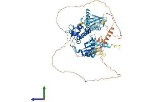 AlphaFold protein structure predicition of Human Recombinant LARP7 Protein, UniprotID Q4G0J3 (LARP7 Protein (AA 1-582) (His tag))