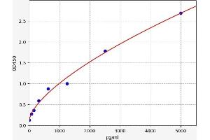 Carboxypeptidase N Subunit 2 (CPN2) ELISA Kit