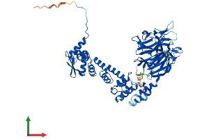 Protein Structure (PS) image for Kelch-Like 36 (KLHL36) (AA 1-613) protein (His tag) (ABIN7559652)
