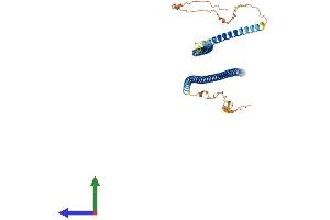 Protein Structure (PS) image for Keratin 25 (KRT25) (AA 1-450) protein (His tag) (ABIN7548699)