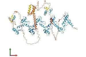Protein Structure (PS) image for Zinc Finger Protein 41 (ZNF41) (AA 1-821) protein (His tag) (ABIN7545414)