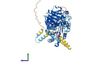 AlphaFold protein structure predicition of Human Recombinant DDX55 Protein, UniprotID Q8NHQ9 (DDX55 Protein (AA 1-600) (His tag))
