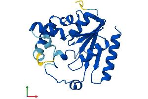 AlphaFold protein structure predicition of Human Recombinant PMVK Protein, UniprotID Q15126