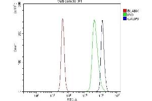 Flow Cytometry analysis of mouse spleen tissues using anti-Caspase-9/Casp9 antibody (ABIN7600418).