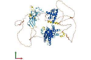 Protein Structure (PS) image for Origin Recognition Complex, Subunit 1 (ORC1L) (AA 1-861) protein (His tag) (ABIN7554817)