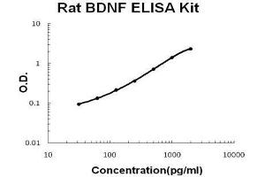 Rat BDNF PicoKine ELISA Kit standard curve (BDNF ELISA 试剂盒)