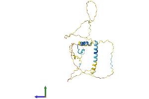 Protein Structure (PS) image for Ermin, ERM-Like Protein (ERMN) (AA 1-281) protein (His tag) (ABIN7557439)