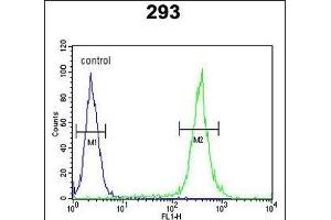 UNC13B Antibody (Center) (ABIN652852 and ABIN2842552) flow cytometric analysis of 293 cells (right histogram) compared to a negative control cell (left histogram). (UNC13B 抗体  (AA 1062-1091))
