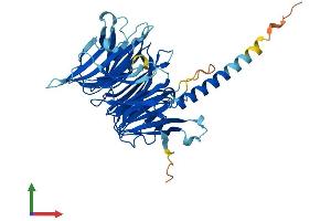 Protein Structure (PS) image for Kaptin (Actin Binding Protein) (KPTN) (AA 1-436) protein (His tag) (ABIN7548830)