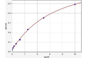 CCR7 ELISA 试剂盒