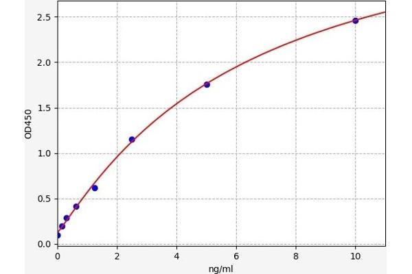 CCR7 ELISA 试剂盒