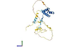 Protein Structure (PS) image for Empty Spiracles Homeobox 1 (EMX1) (AA 1-257) protein (His tag) (ABIN7556884)