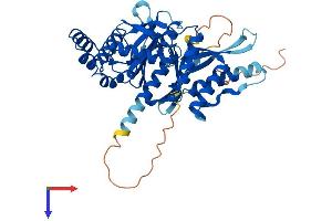 SNX31 Protein (AA 1-440) (His tag)