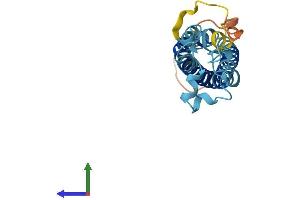 AlphaFold protein structure predicition of Human Recombinant TM4SF4 Protein, UniprotID P48230