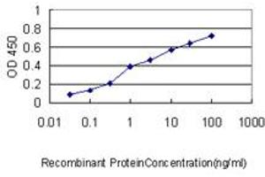 Detection limit for recombinant GST tagged LRRFIP1 is approximately 0. (LRRFIP1 抗体  (AA 1-105))