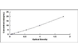 Typical standard curve (FLNC ELISA 试剂盒)