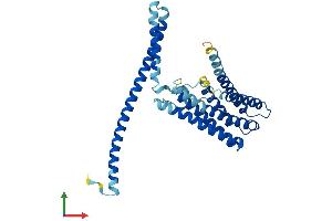AlphaFold protein structure predicition of Human Recombinant TMEM120A Protein, UniprotID Q9BXJ8