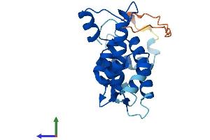 Protein Structure (PS) image for Sorcin (SRI) (AA 1-198) protein (His tag) (ABIN7557980)