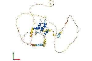 Protein Structure (PS) image for Forkhead Box N2 (FOXN2) (AA 1-431) protein (His tag) (ABIN7547685)