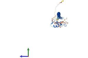 AlphaFold protein structure predicition of Mouse Recombinant Ccnb1ip1 Protein, UniprotID D3Z3K2