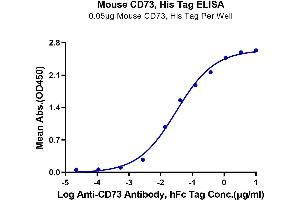 ELISA image for 5'-Nucleotidase, Ecto (CD73) (NT5E) (AA 29-549) protein (His tag) (ABIN7274238)