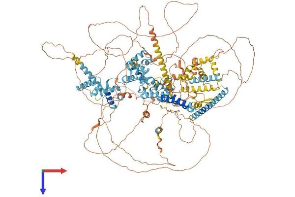SNAPC4 Protein (AA 1-1333) (His tag)
