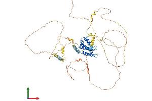 Protein Structure (PS) image for Clathrin Interactor 1 (CLINT1) (AA 1-631) protein (His tag) (ABIN7560344)