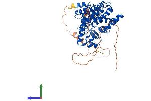 Protein Structure (PS) image for phosphodiesterase 7B (PDE7B) (AA 1-450) protein (His tag) (ABIN7550605)