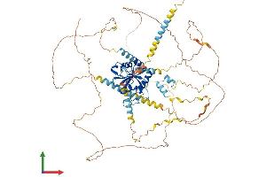 Protein Structure (PS) image for YTH Domain Containing 1 (YTHDC1) (AA 1-727) protein (His tag) (ABIN7556064)