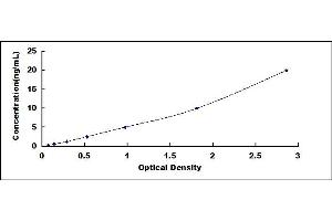 Typical standard curve (MMP8 ELISA 试剂盒)