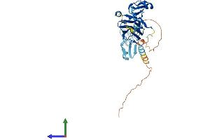 AlphaFold protein structure predicition of Mouse Recombinant Itgb1bp2 Protein, UniprotID Q9R000