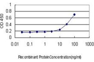 Detection limit for recombinant GST tagged SMPD2 is approximately 10ng/ml as a capture antibody. (SMPD2 抗体  (AA 1-423))