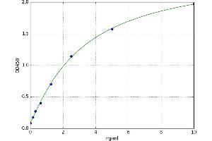 A typical standard curve