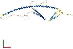 AlphaFold protein structure predicition of Human Recombinant TEX28 Protein, UniprotID O15482
